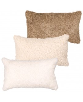Crossbreed Pillow - 50x30cm